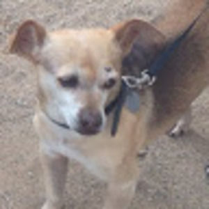 Meet your Posher, Theresa